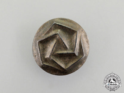 an_unknown_third_reich_period_runic_badge_dd_0688