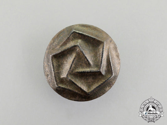 an_unknown_third_reich_period_runic_badge_dd_0688