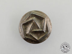 An Unknown Third Reich Period Runic Badge
