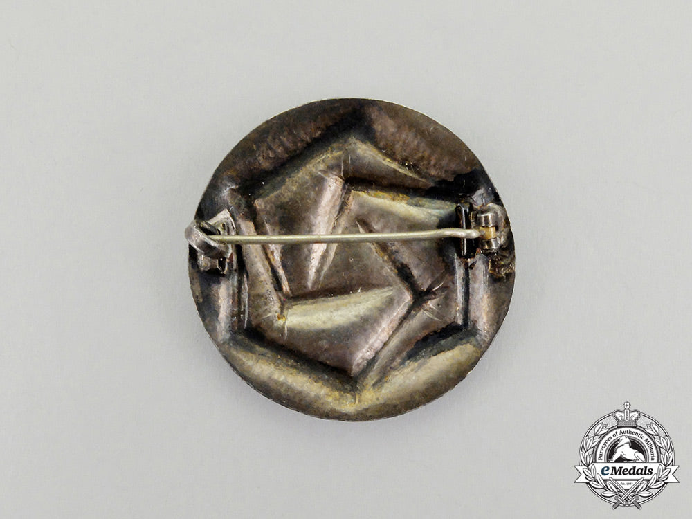 an_unknown_third_reich_period_runic_badge_dd_0689