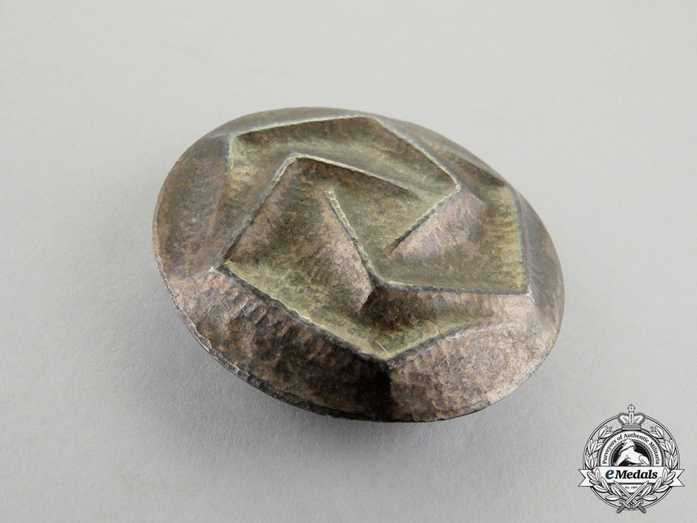 an_unknown_third_reich_period_runic_badge_dd_0690