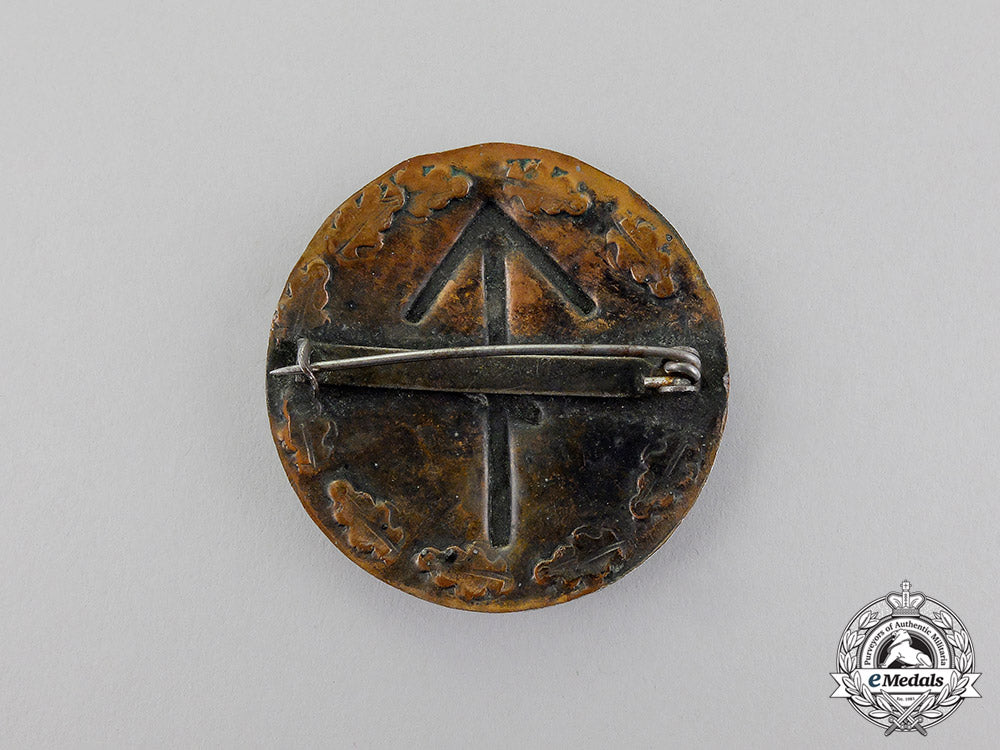 a_third_reich_period“_tyr-_warrior”_runic_badge_dd_3979