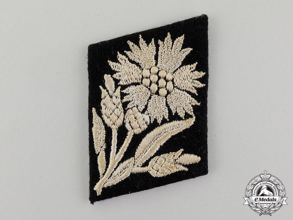 a_single_waffen-_ss22_nd_freiwilligen_cavalry_maria_theresia_division_collar_tab_dd_4074
