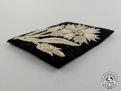 a_single_waffen-_ss22_nd_freiwilligen_cavalry_maria_theresia_division_collar_tab_dd_4076