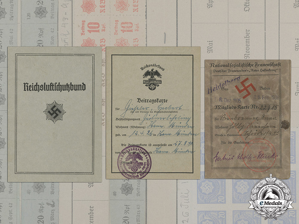 germany._three_id_cards(_rlb,_reichsnährstand,_ns-_frauenschaft)_dd_4489