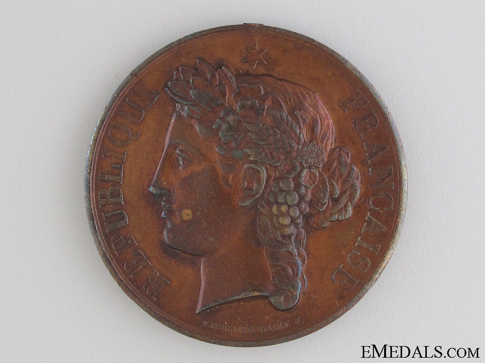 department_of_the_somme_firefighter_medal1892_department_of_th_5287ae9999757_1_1