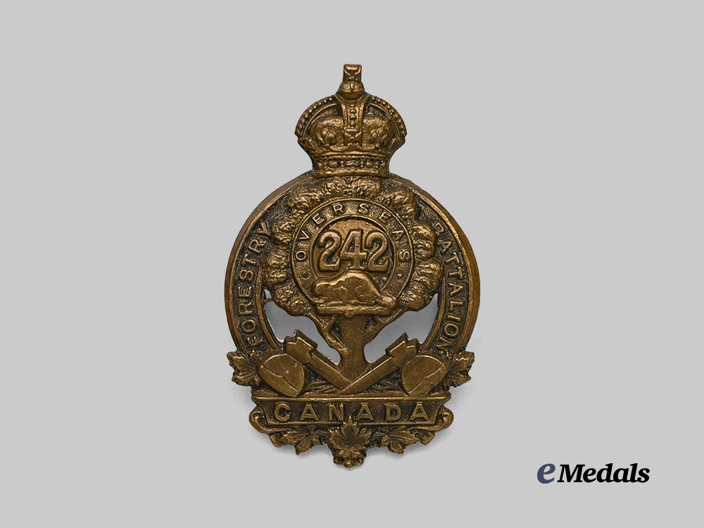 canada,_c_e_f._a242nd_infantry_battalion"_canadian_forestry_battalion"_cap_badge_e_medals__c7277_2