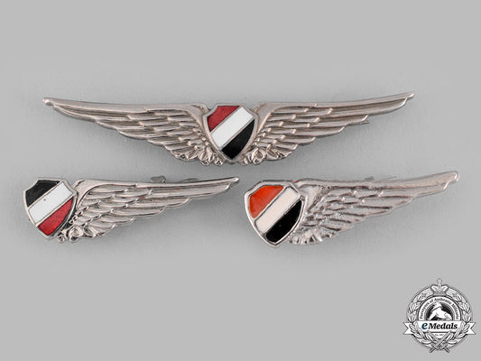 egypt,_arab_republic._three_air_force(_eaf)_badges_dsc_1859