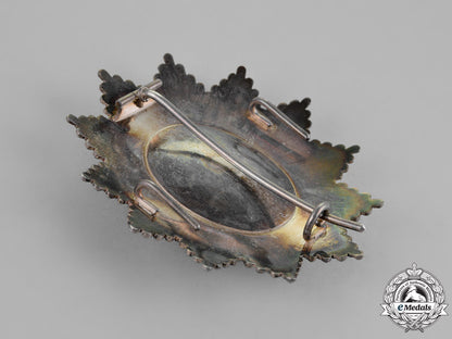 spain,_kingdom._royal_cavalry_armory_of_granada,_master_council_breast_star_c.1910_dsc_2090_1