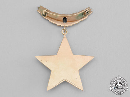 romania,_socialist._a_hero_of_the_romanian_socialist_republic_in_gold,_ruby&_diamonds_dsc_2527_1_1_1_1_1