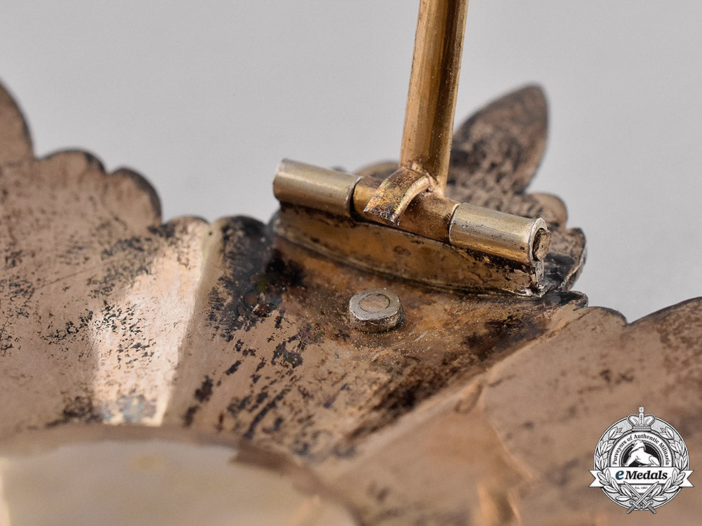 bavaria,_kingdom._a_royal_merit_order_of_st._michael,1_st_class_grand_cross_star,_c.1845_dsc_3577