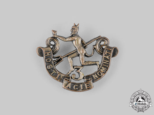 canada,_cef._a144_th_infantry_battalion"_winnipeg_rifles"_cap_badge,_c.1915_dsc_8964