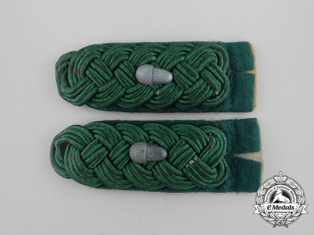 a_set_of_german_oberforstmeister_rank_shoulder_boards_dscf0850_2_