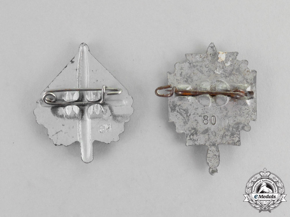 two_nskov_disabled_war_veterans_pins_dscf1197_1