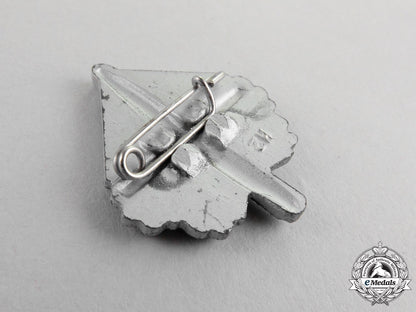 two_nskov_disabled_war_veterans_pins_dscf1198_2