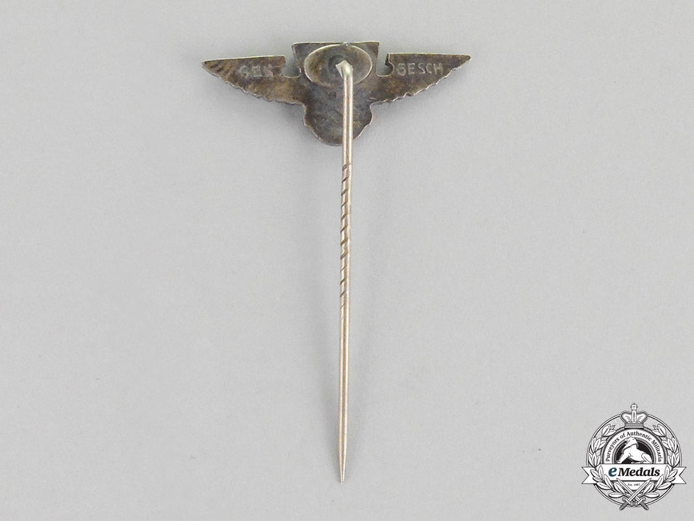 germany._a_ns-_rkb(_national_socialist_reichs_warrior’s_league)_membership_stick_pin_dscf2883_4_