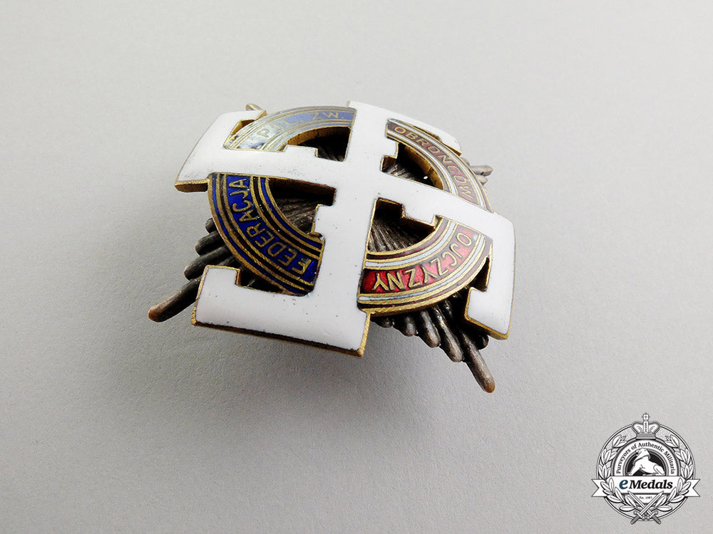 poland._a_third_reich_period_veterans_organization_honour_badge_by_w._miecznik_dscf5197