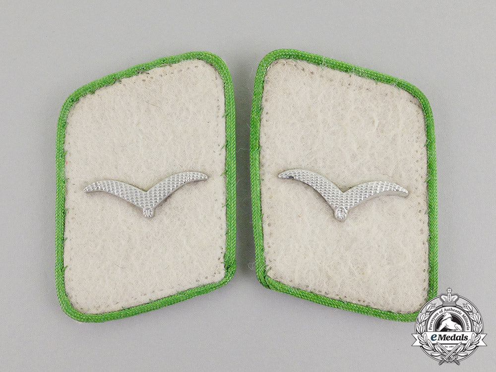 germany._a_pair_of_luftwaffe_regiment_general_göring_jäger_collar_tabs(_kragenspiegel)_dscf5382