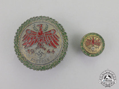 germany._a1944_tirol_shooting_competition_marksmanship_award_with_miniature_dscf6348