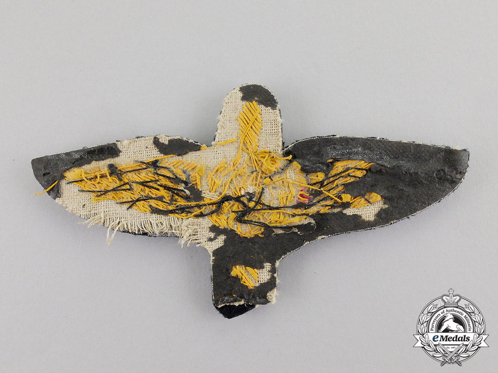portugal._an_air_force_flight_engineer_badge_dscf6889