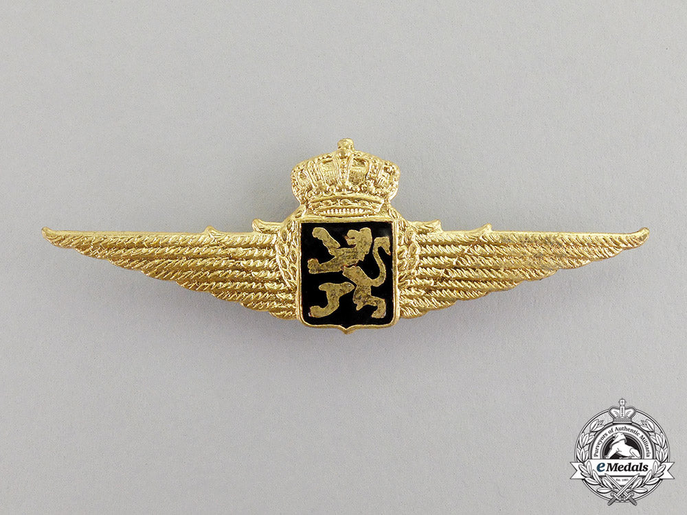 belgium._an_officer's_pilot_badge_dscf6891