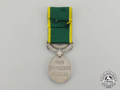 canada._an_efficiency_medal_with_canada_scroll,_to_company_sergeant_major(_warrant_officer2_nd_class)_c.i._puffer,_princess_of_wales'_own_regiment(_machine_gun)_dscf8087