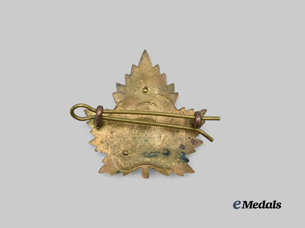 canada,_c_e_f._a_prince_edward_island_light_horse_officer’s_cap_badge_e_medals__c7237_3