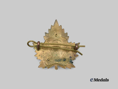 canada,_c_e_f._a_prince_edward_island_light_horse_officer’s_cap_badge_e_medals__c7237_3