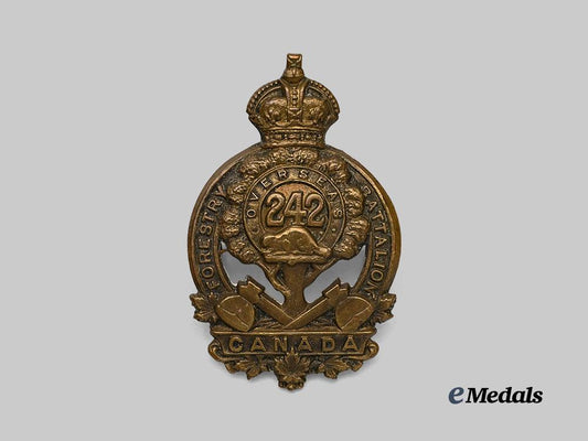 canada,_c_e_f._a242nd_infantry_battalion"_canadian_forestry_battalion"_cap_badge_e_medals__c7277_2