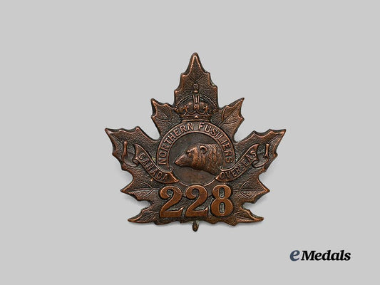 canada,_c_e_f._a228th_infantry_battalion_cap_badge_e_medals__c7289_3
