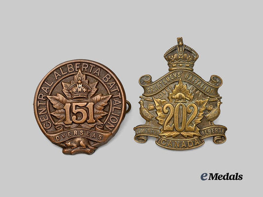 canada,_c_e_f._a151st_infantry_battalion_cap_badge_and202nd_infantry_battalion_cap_badge_e_medals__c7291_2