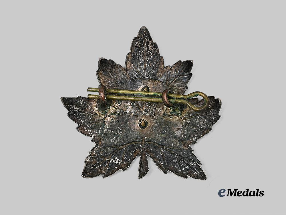 canada,_commonwealth._a_rare8th_reconnaissance_regiment(14th_canadian_hussars)_battle_dress_with_cap_badge_e_medals__c7365_4