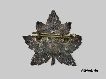 canada,_commonwealth._a_rare8th_reconnaissance_regiment(14th_canadian_hussars)_battle_dress_with_cap_badge_e_medals__c7365_4
