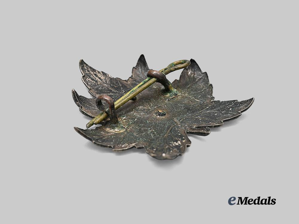 canada,_commonwealth._a_rare8th_reconnaissance_regiment(14th_canadian_hussars)_battle_dress_with_cap_badge_e_medals__c7365_5