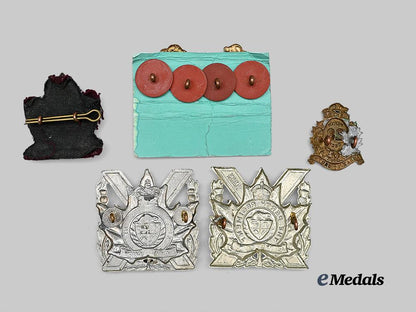 canada._a_lot_of_perth_regiment_badges_e_medals__c7384_6