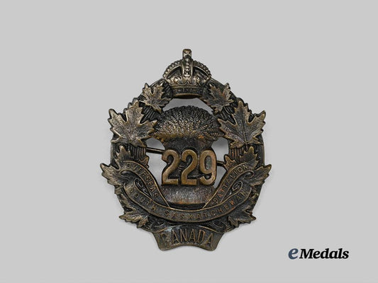 canada,_c_e_f._a229th_infantry_battalion_cap_badge_e_medals__c7420_2