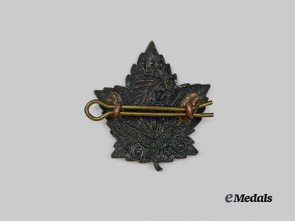 canada,_c_e_f._a102nd_infantry_battalion“_north_british_columbians”_cap_badge_e_medals__c7468_3