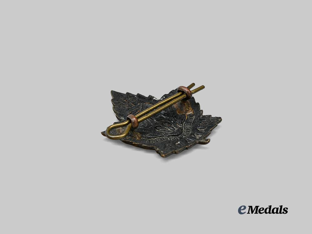 canada,_c_e_f._a102nd_infantry_battalion“_north_british_columbians”_cap_badge_e_medals__c7468_4