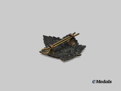 canada,_c_e_f._a102nd_infantry_battalion“_north_british_columbians”_cap_badge_e_medals__c7468_4