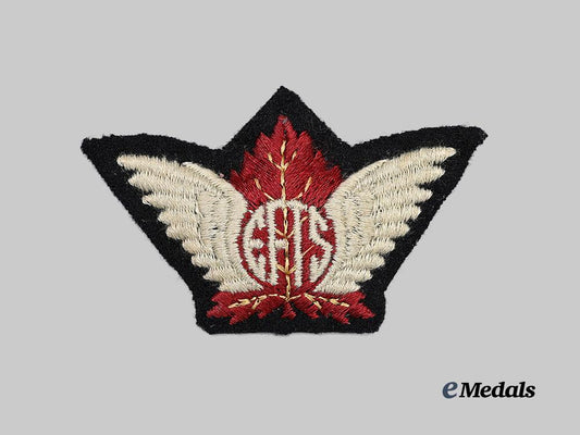 canada._an_elementary_flying_training_school_instructor’s_badge_e_medals__c7497_2