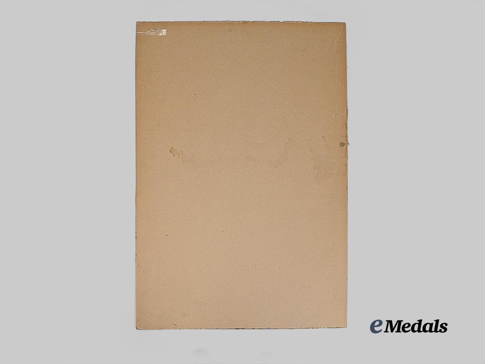 canada,_c_e_f._an_original_win_the_prince_of_wales_flag_poster1919_e_medals__c7572_3