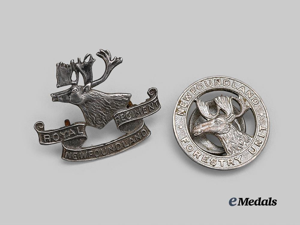 canada,_c_e_f._a_pair_of_newfoundland_badges_e_medals__c7580_2