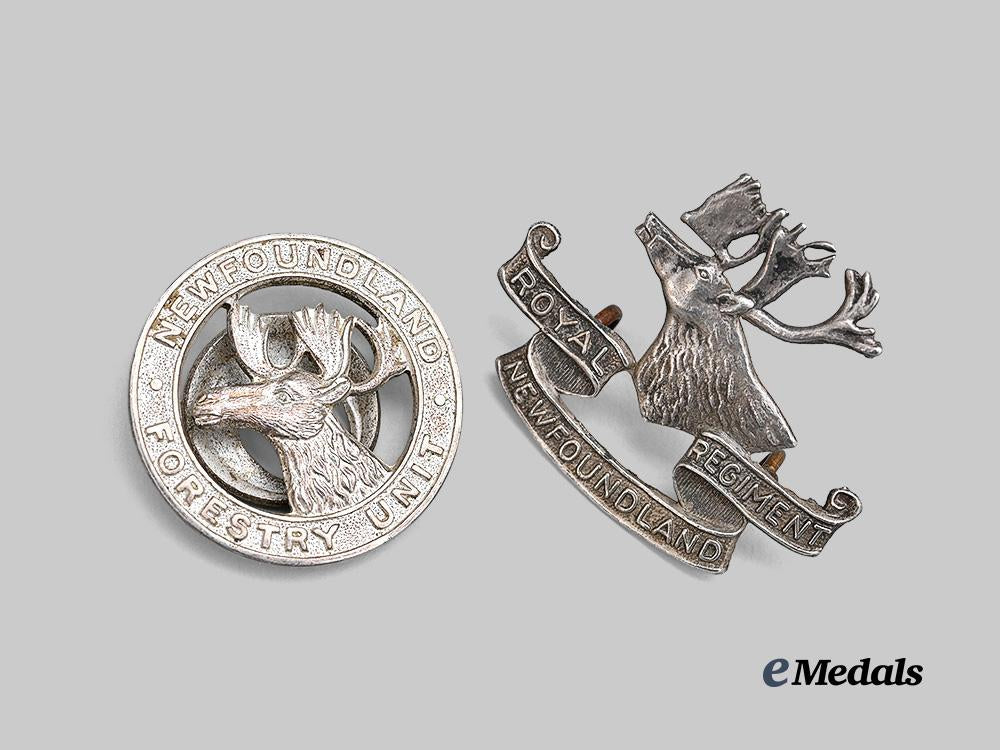 canada,_c_e_f._a_pair_of_newfoundland_badges_e_medals__c7580_3
