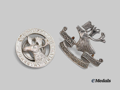 canada,_c_e_f._a_pair_of_newfoundland_badges_e_medals__c7580_3