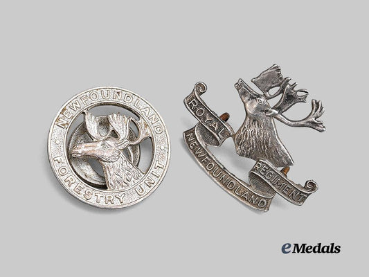 canada,_c_e_f._a_pair_of_newfoundland_badges_e_medals__c7580_3