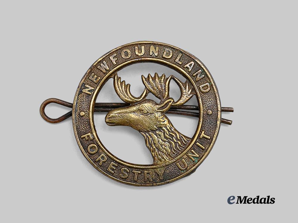 canada,_commonwealth._a_newfoundland_forestry_cap_badge,_c.1939_e_medals__c7585_2