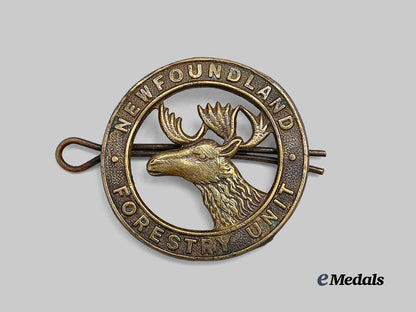 canada,_commonwealth._a_newfoundland_forestry_cap_badge,_c.1939_e_medals__c7585_2