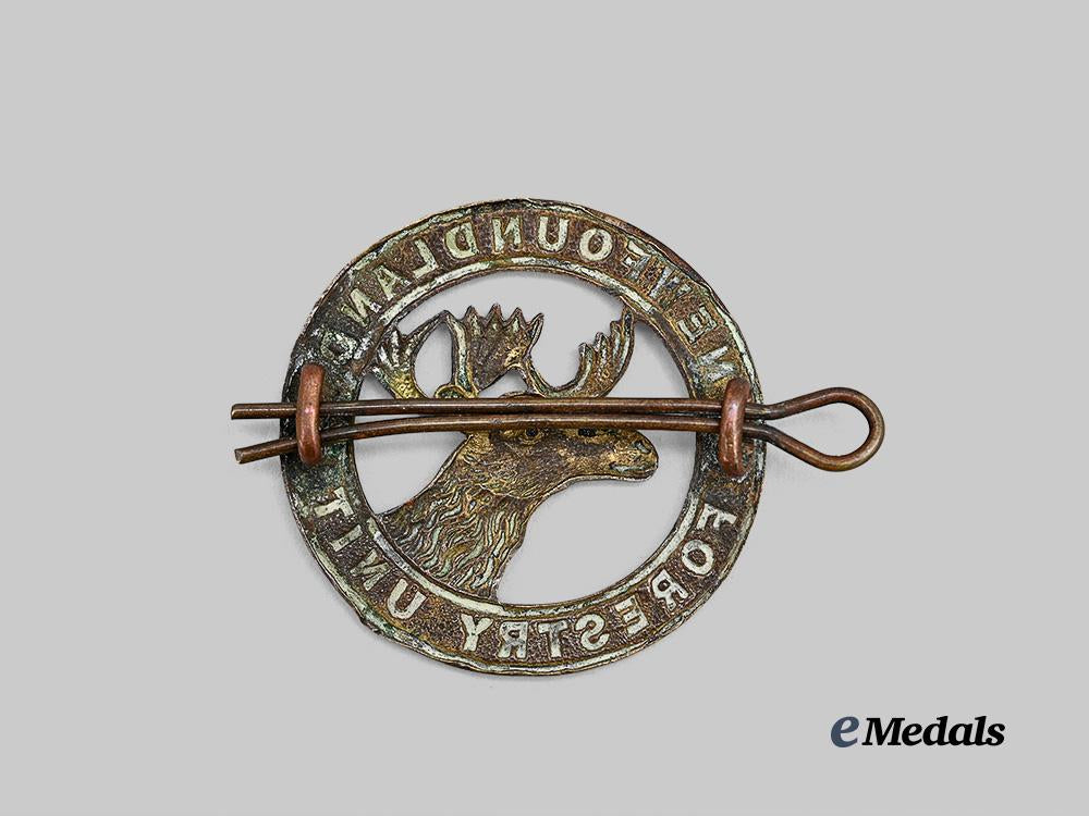 canada,_commonwealth._a_newfoundland_forestry_cap_badge,_c.1939_e_medals__c7585_3