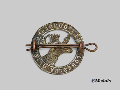 canada,_commonwealth._a_newfoundland_forestry_cap_badge,_c.1939_e_medals__c7585_3