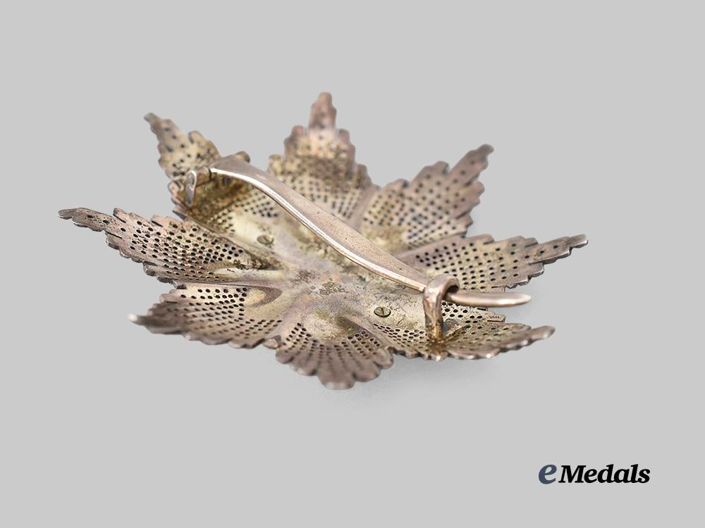 serbia,_kingdom._an_order_of_saint_sava,_breast_star_e_medals__e_u24275_5